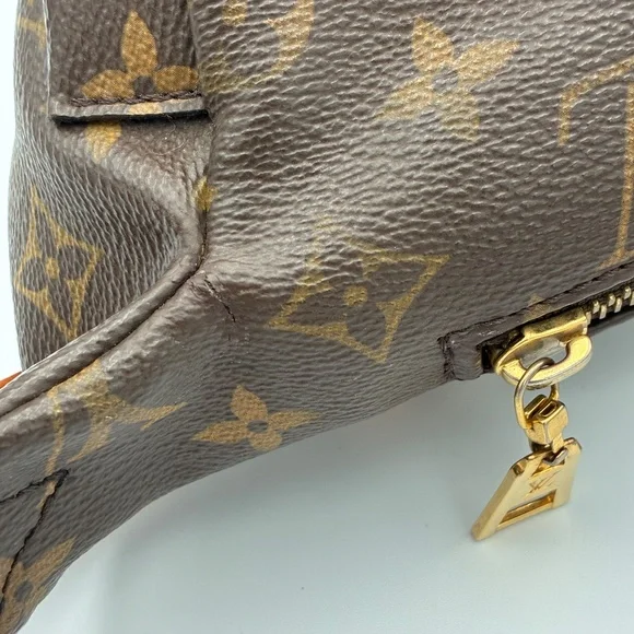 Louis Vuitton Bumbag - Picture 11 of 16